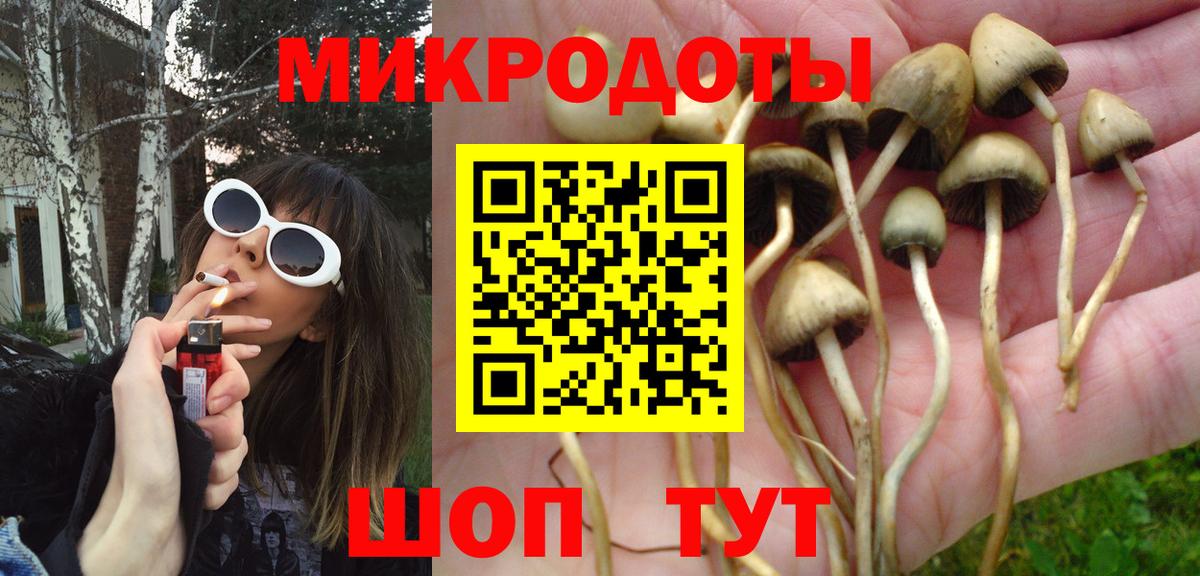 Псилоцибиновые грибы Cubensis  Вход с VPN  дарнет шоп  Белогорск  Псилоцибиновые грибы ЛСД 