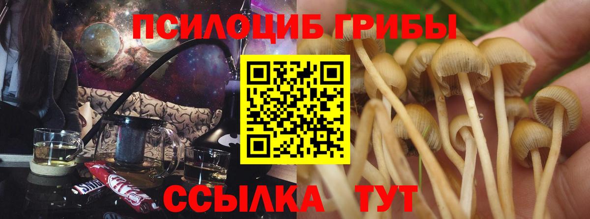 Галлюциногенные грибы Cubensis Белогорск